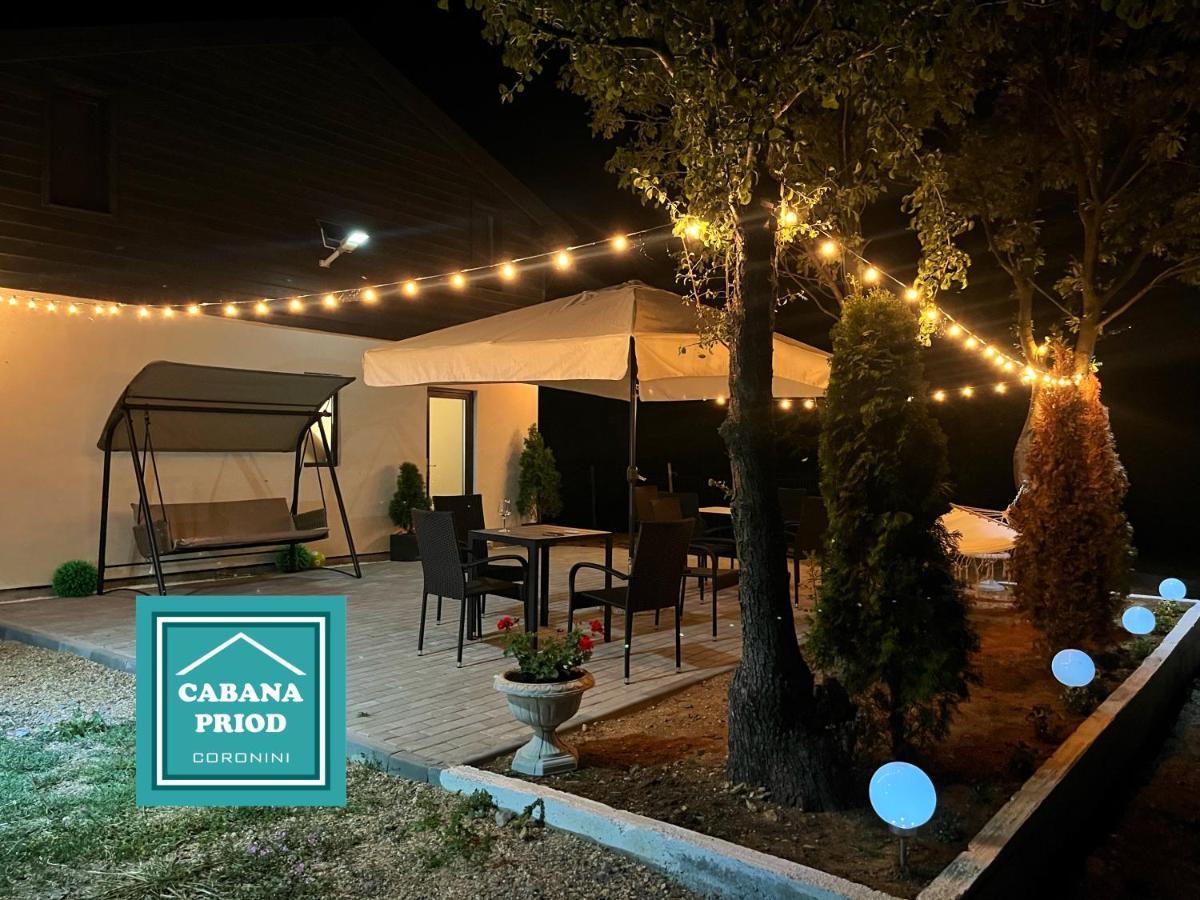 Cabana Priod Coronini Pescari Exterior photo